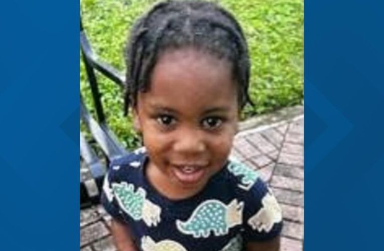 Missing 3-Year-Old Found Safe, Prompting FDLE to Cancel Alert