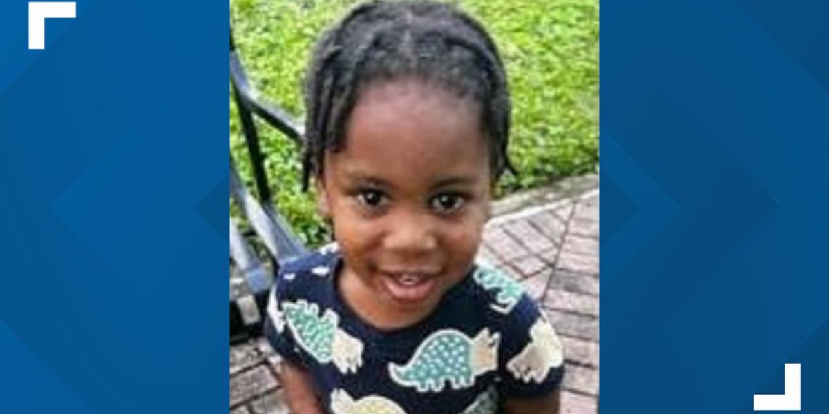 Missing 3-Year-Old Found Safe, Prompting FDLE to Cancel Alert