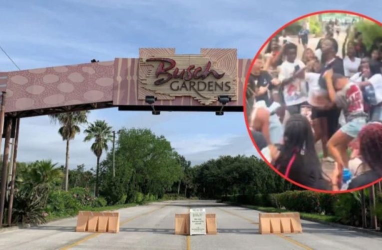 Violent ‘Takeover’ Attack Puts Florida Theme Park at Risk of Permanent Closure