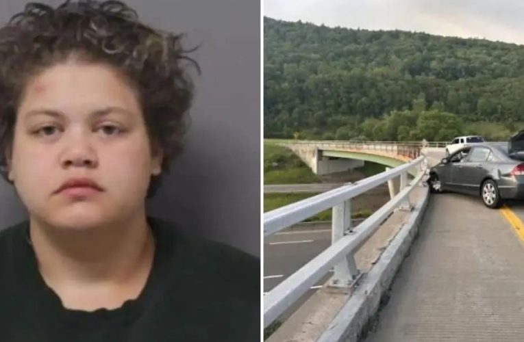 WOMAN ACCUSED of KILLING THREE ROOMMATES in Virginia Captured After New York Highway Chase