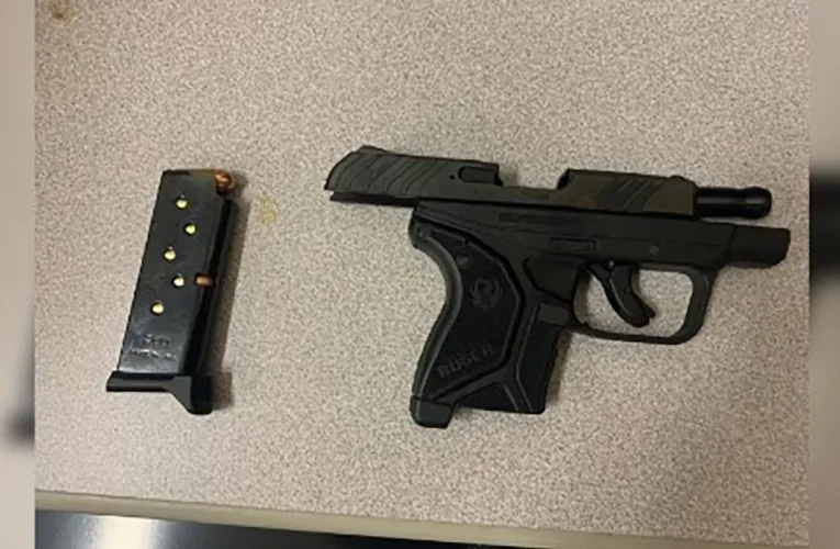 Tampa Teen Arrested with Two Loaded Guns at High School