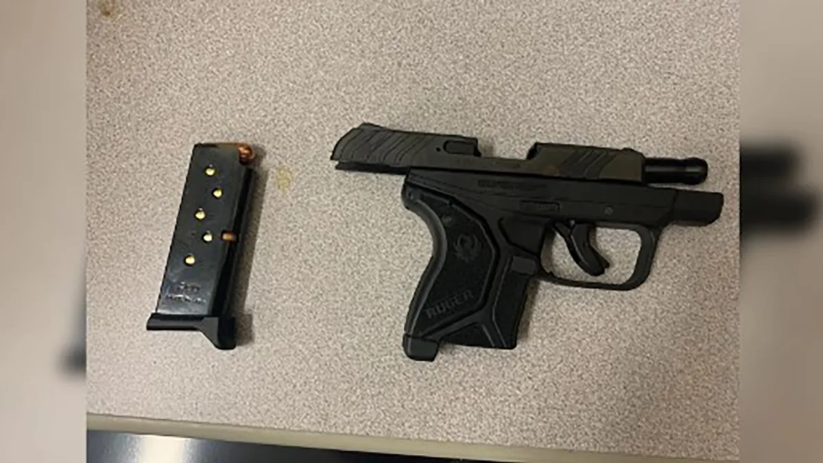 Tampa Teen Arrested with Two Loaded Guns at High School