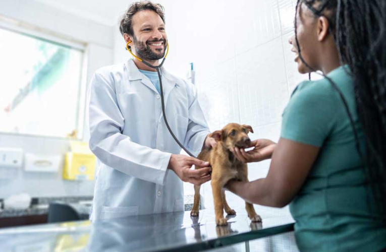 Affordable Pet Services in Central Florida: Microchipping and More