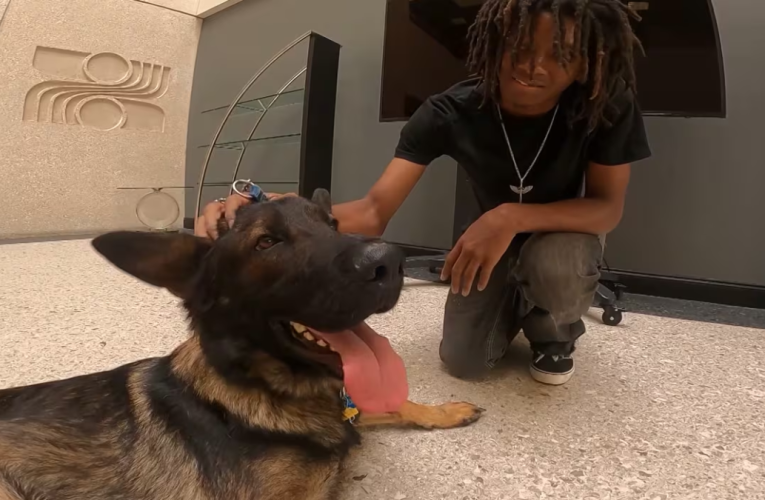 Texas Teen Chooses to Stay Homeless to Keep His Dog