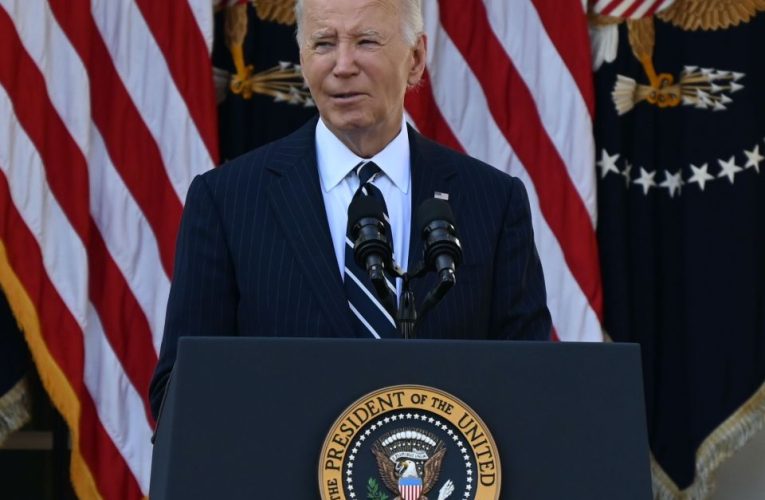 Trump to meet Biden TODAY for first time since his election triumph left Dems reeling as Donald makes top cabinet picks