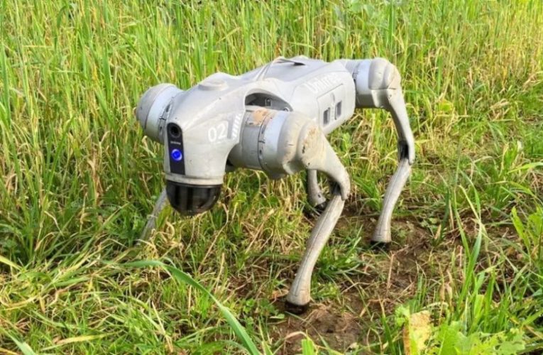 Incredible ROBOT DOG can scale 16ft heights in just 1 second & ‘sniff out’ hidden plants using £25k tech in its nose