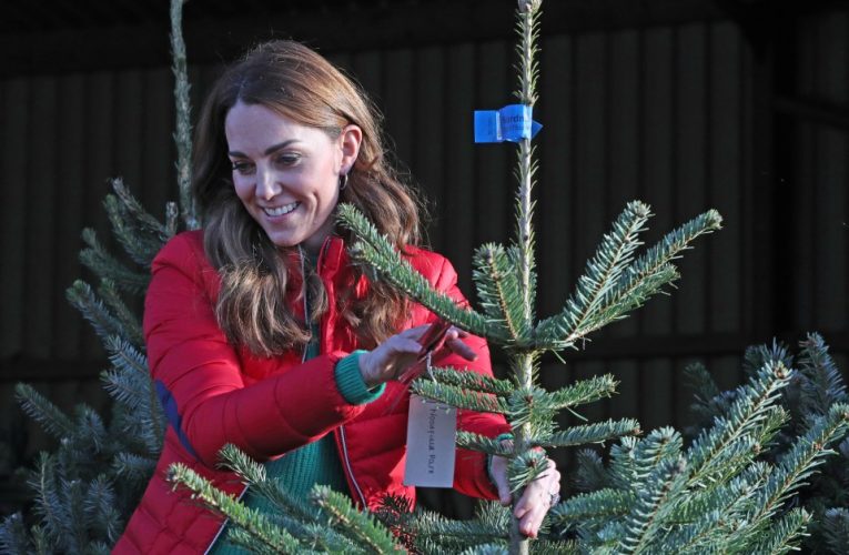 Kate’s channelling late Queen by always putting duty first…Christmas concert news proves she’s back to work, expert says