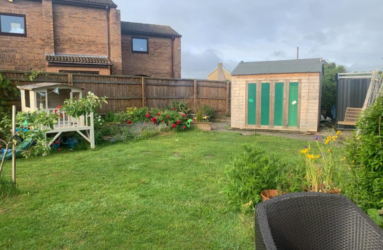 Couple discover secret ROOM buried deep beneath their garden shed – & they have ambitious plans to transform it