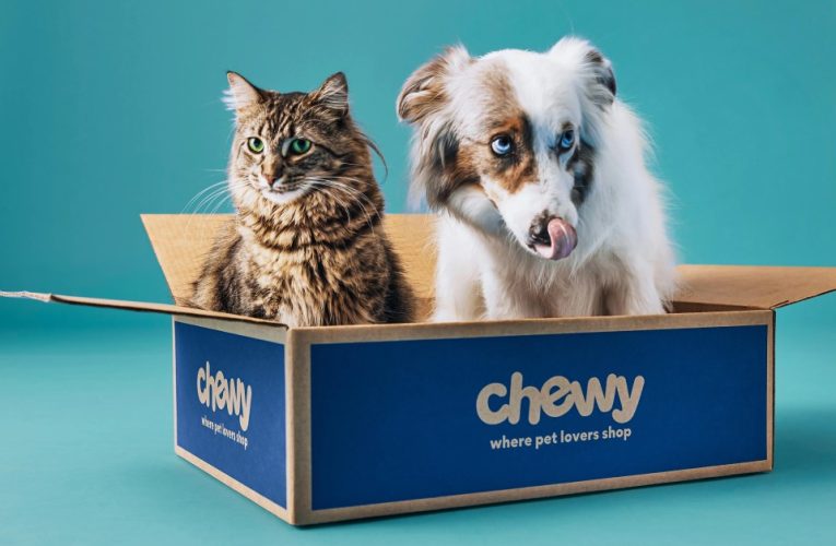 Chewy Black Friday 2024: Get a FREE $20 e-giftcard with a $49 spend