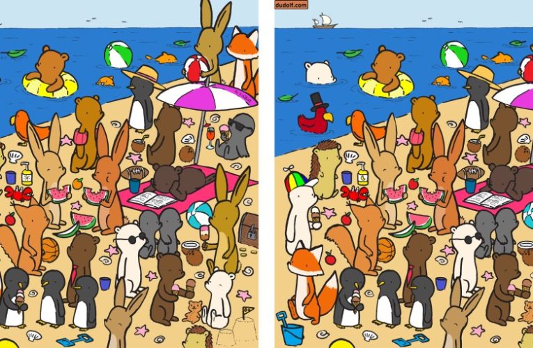 Everyone can see the beach with the happy animals – but can you spot all the differences in 11 seconds