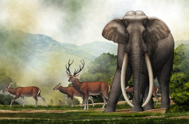 Ancient giant elephant graveyard proves colossal creatures were REAL and roamed Earth 300,000 years ago, say scientists