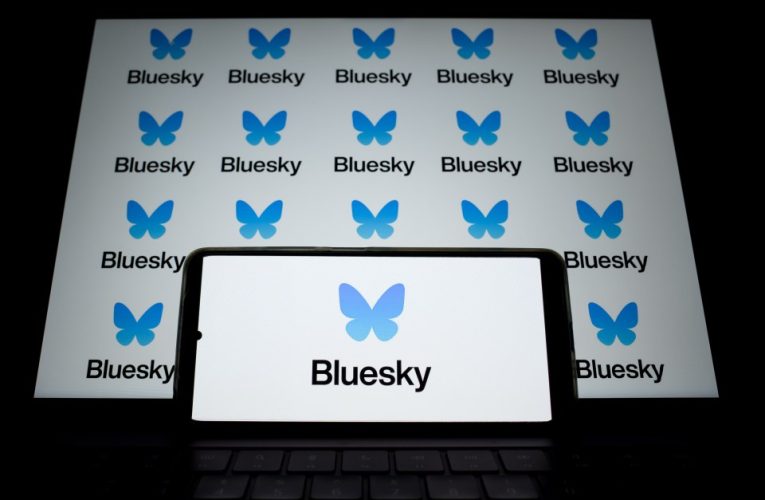 Bluesky users baffled by ‘invalid handle’ alert as millions flock to X rival – but there’s a way to instantly fix it