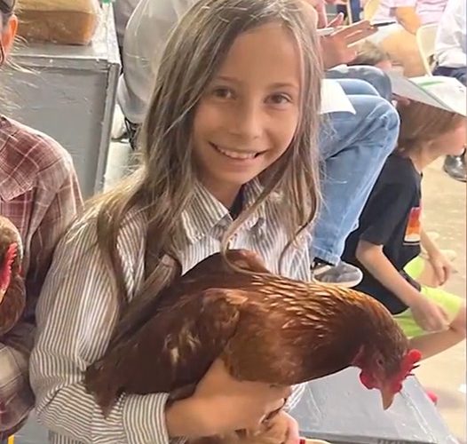 Girl, 10, earns $2,100 by selling chickens – then bank refused to give her the cash and abruptly closed her account