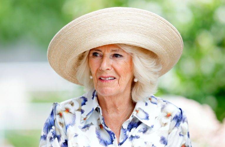 Queen Camilla pulls out of another event after chest infection forced her to miss string of engagements