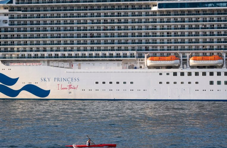 Cruise ship horror as passenger, 48, dies trying to jump from Sky Princess vessel as it was heading back to Florida