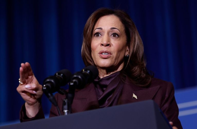 Kamala Harris and Biden stay in Washington DC after canceling Christmas trips as threat of government shutdown looms