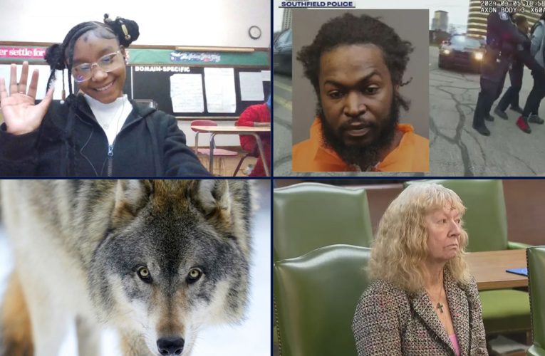 Na’Ziyah Harris disappearance, Chipotle guacamole shooting, mysterious gray wolf, and more top stories of 2024