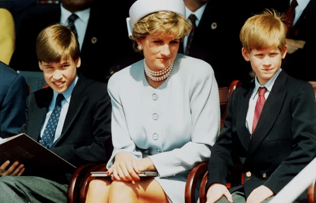 Princes Harry and William send separate messages to Diana Awards winners as charity marks 25th anniversary